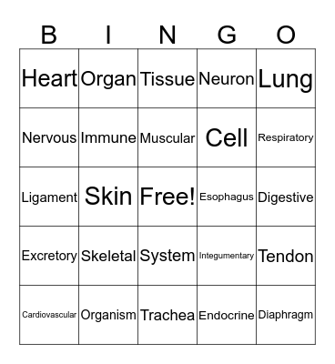 Systems Organization  Bingo Card