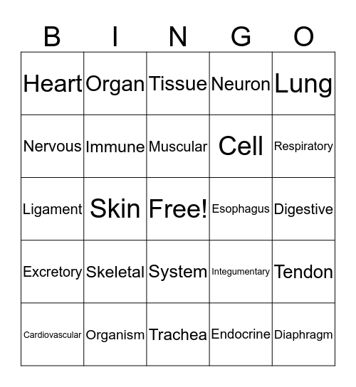 Systems Organization  Bingo Card
