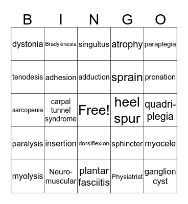 Muscular system Bingo  Bingo Card