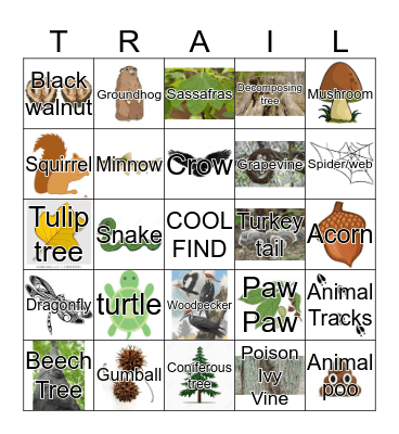 Scavenger Hunt Bingo Card