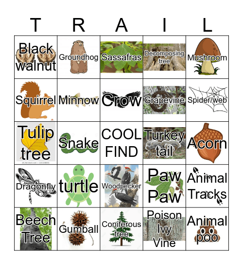 Scavenger Hunt Bingo Card