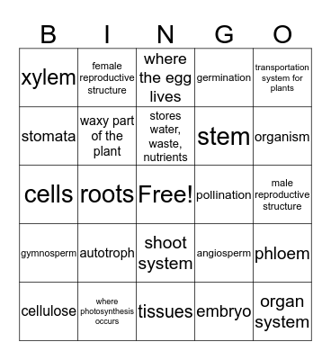 Plant Bingo  Bingo Card