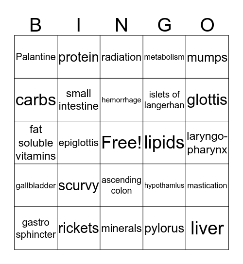 a&p Bingo Card