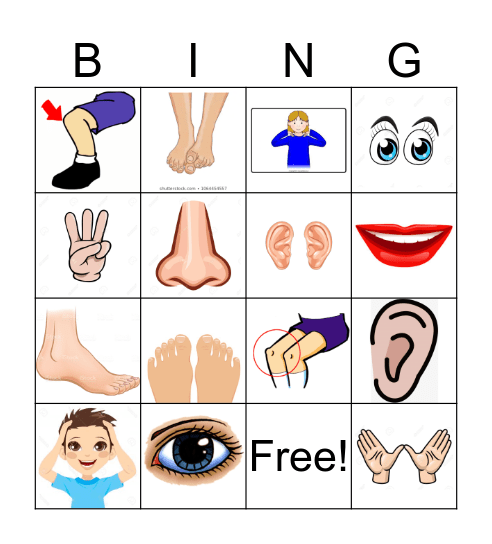 PArts  Bingo Card