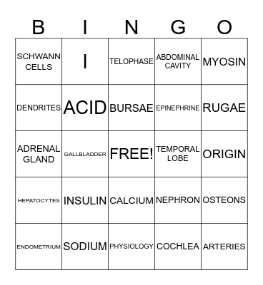 Anatomy & Physiology Bingo Card