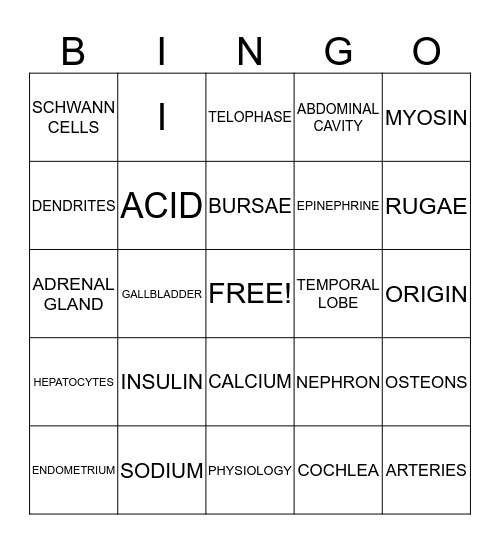 Anatomy & Physiology Bingo Card