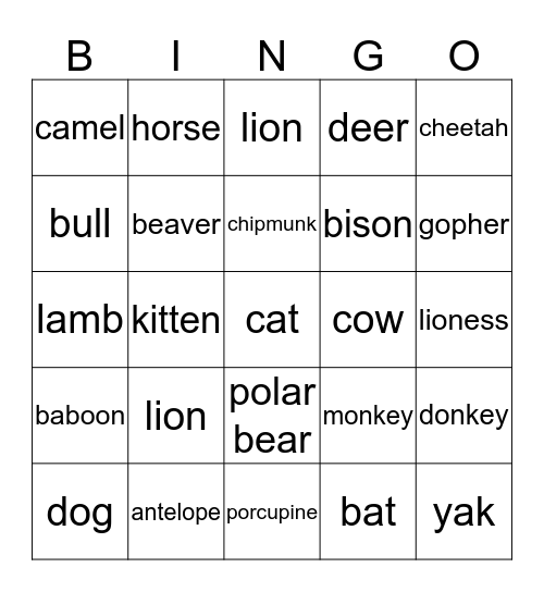 Animals Bingo Card