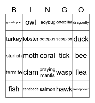 Animals - Part 2 Bingo Card