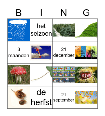 de herfst Bingo Card