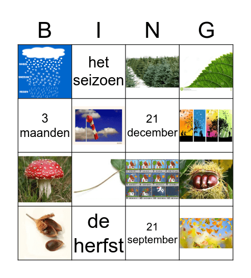 de herfst Bingo Card