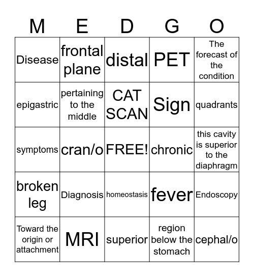 Intro to the human body Bingo Card