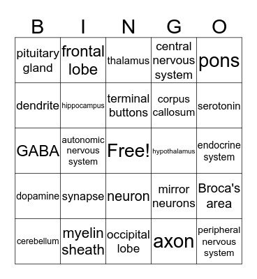 Biopsychology Bingo Card