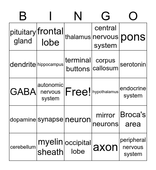 Biopsychology Bingo Card