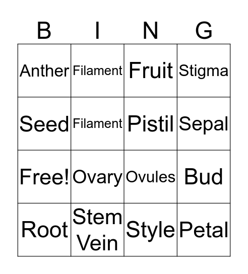 Plant & Flower Parts Bingo Card
