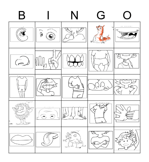 BODY PARTS PICTURES Bingo Card