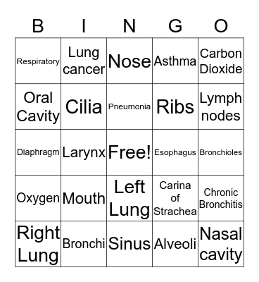 Respiratory System Bingo Card