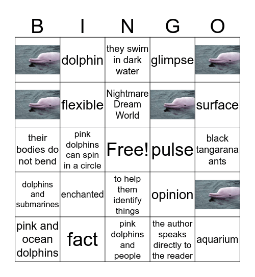 Encantado Bingo Card