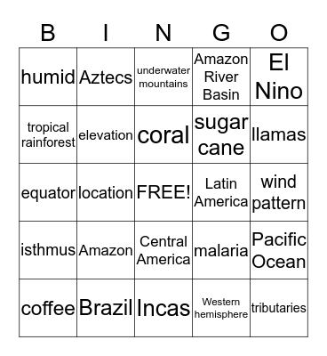 Latin America Bingo Card