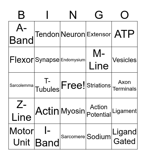 Action Potential Bingo Card