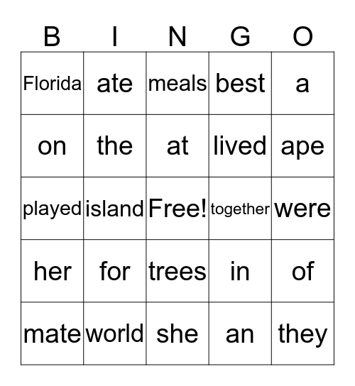 Fluency Passage: 1 Bingo Card
