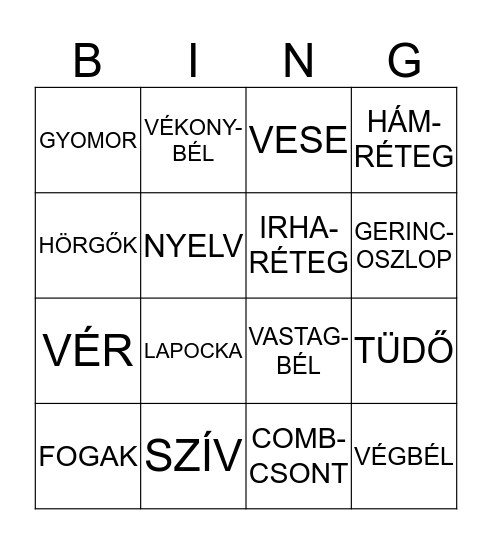 SZERVRENDSZEREK Bingo Card