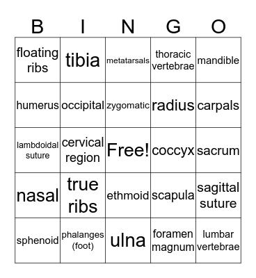 Skeletal System Bingo Card