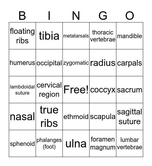 Skeletal System Bingo Card