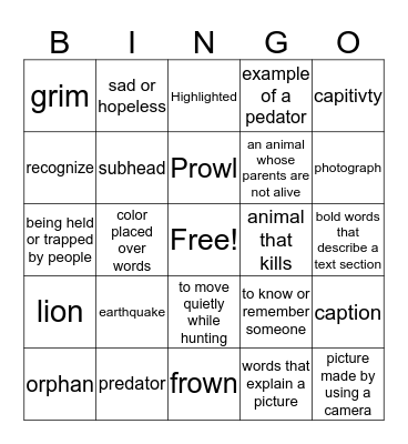 Christian the Lion Bingo Card