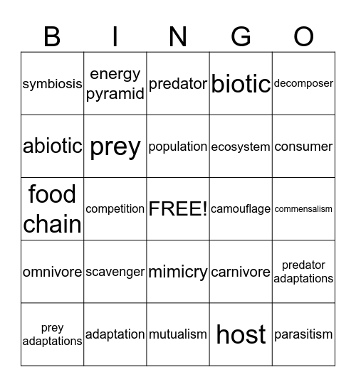 Food Web  Bingo Card