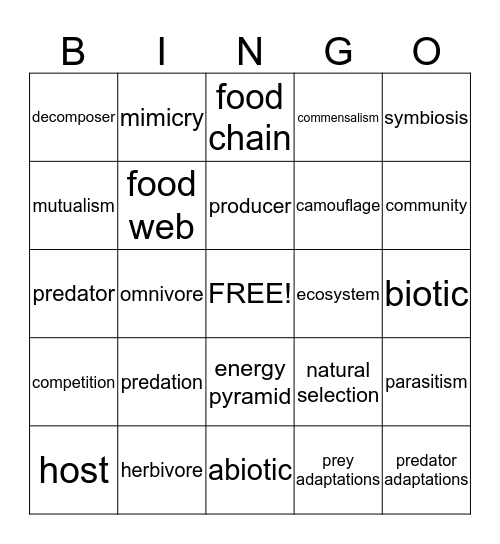 Food Web  Bingo Card
