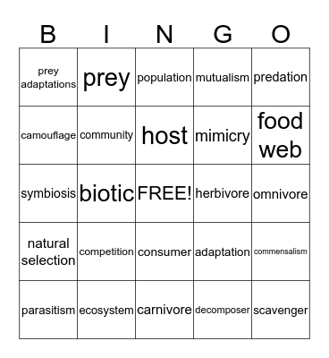 Food Web  Bingo Card