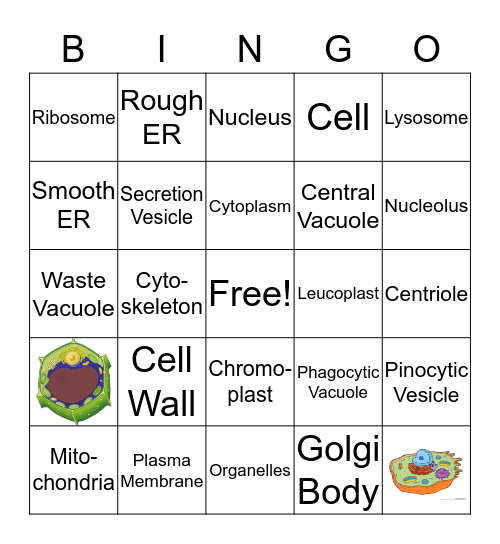 Cell Bingo Card