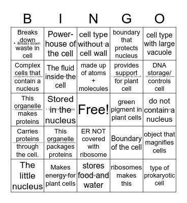 Cell Organelle Bingo Card