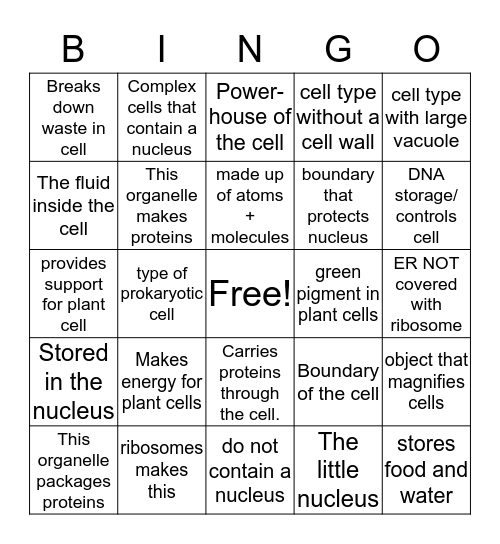 Cell Organelle Bingo Card