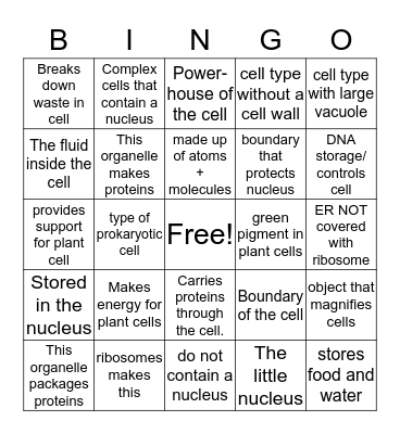 Cell Organelle Bingo Card