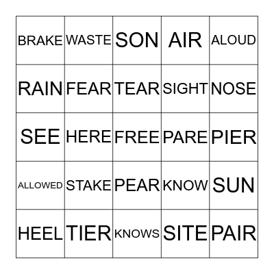 HOMOPHONES Bingo Card