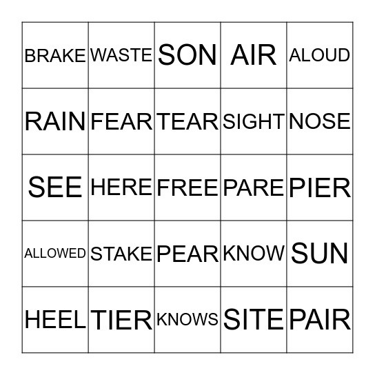 HOMOPHONES Bingo Card