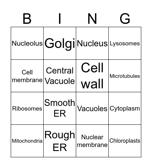 ORGANELLE  Bingo Card