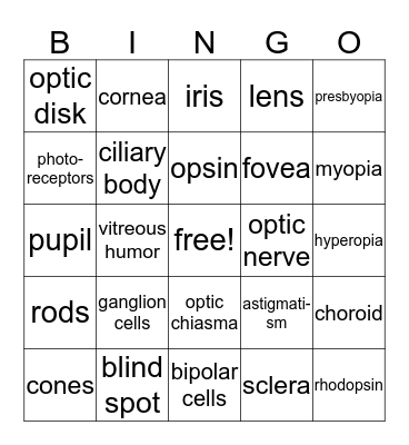 EYE! Bingo Card