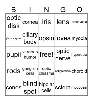 EYE! Bingo Card