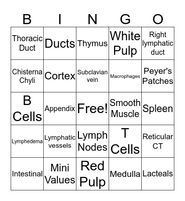 Lymphatic System  Bingo Card