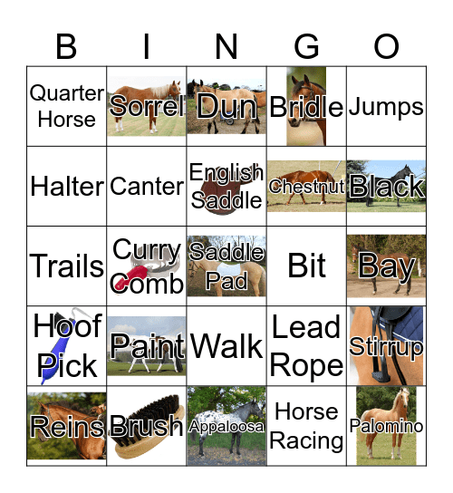 Horses Bingo Card