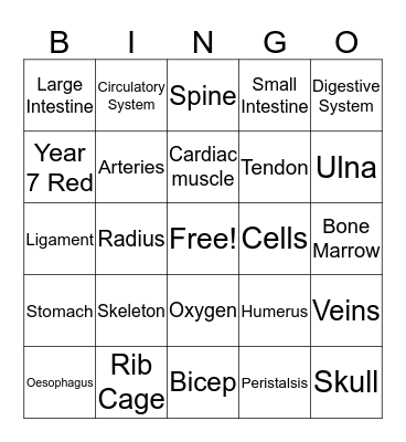 Human Body 7 Red Bingo Card