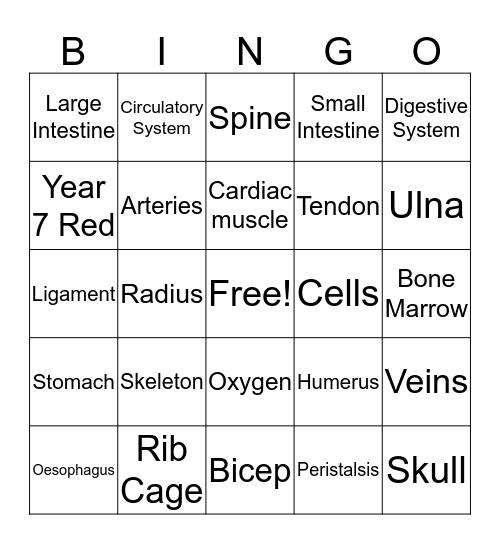 Human Body 7 Red Bingo Card