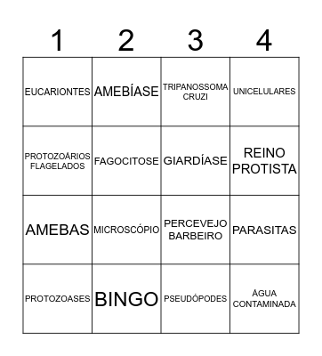 BINGO - PROTOZOÁRIOS Bingo Card
