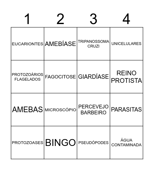 BINGO - PROTOZOÁRIOS Bingo Card