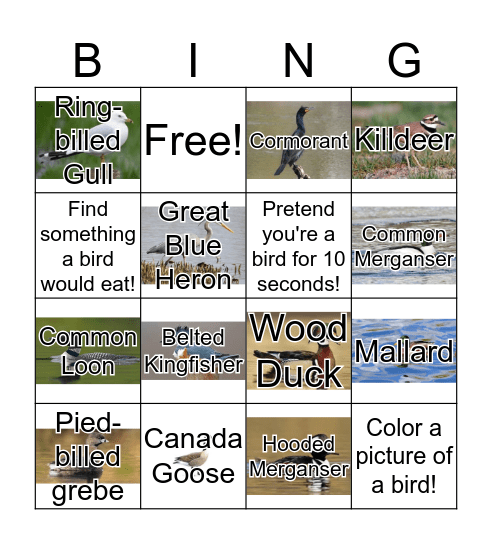 Waterfowl Bingo! Bingo Card