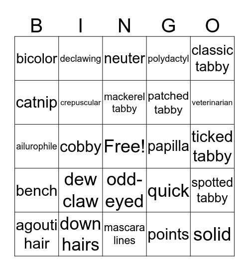 Glossary Bingo Card