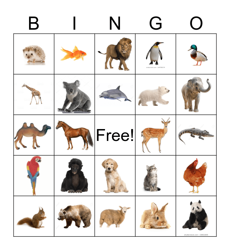 dieren bingo Card