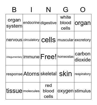 Body Systems and more Bingo Card